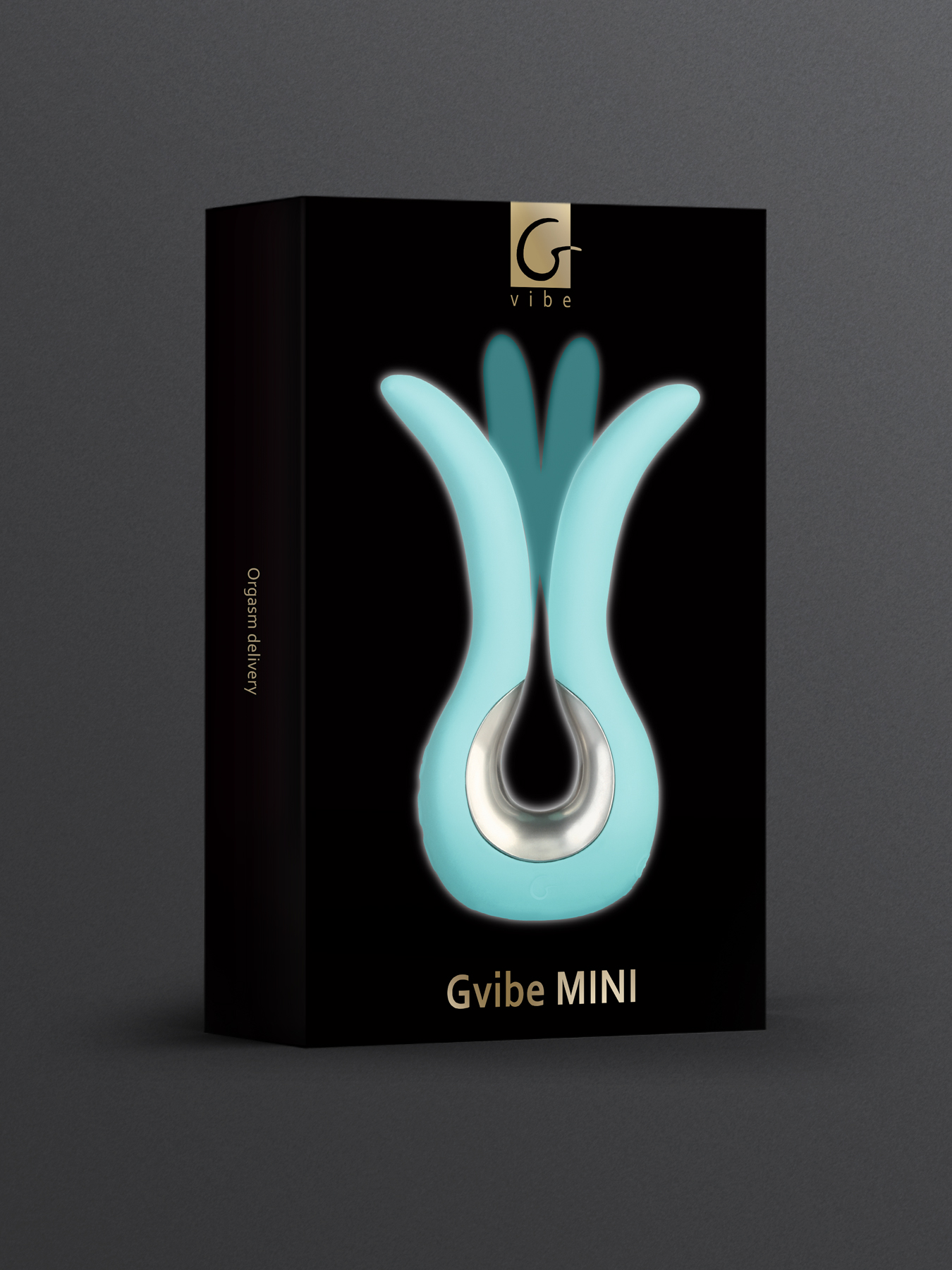 Gvibe_GvibeMINI_1350X1800_box_black