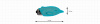 Lastic Pocket Dolphin Минивибростимулятор-дельфин_9
