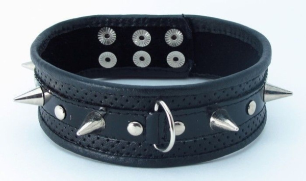 Картинка с сайта