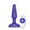 BV-002-PUR_b BV-002-PUR_b