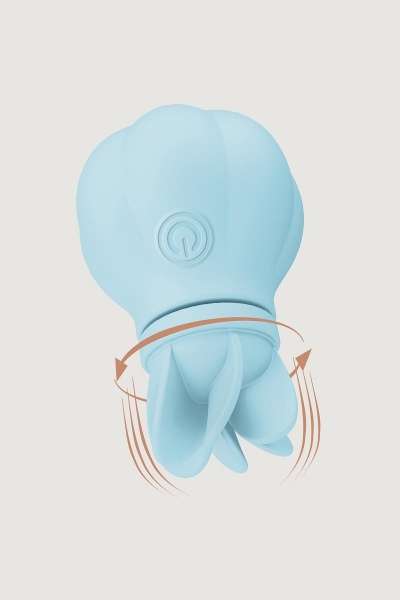 Caress Blue Стимулятор клитора и интимных зон тела с 5 насадками_5