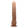 Фаллоимитатор на присоске Baile Beautiful Dick_5