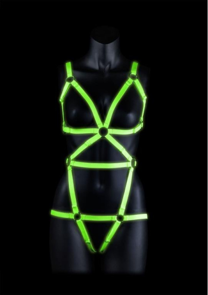 Сбруя люминисцентная - L/XL_3