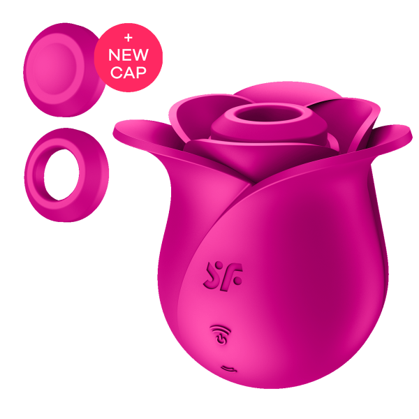 Вакуумный стимулятор клитора Satisfyer Pro 2 Modern Blossom_3