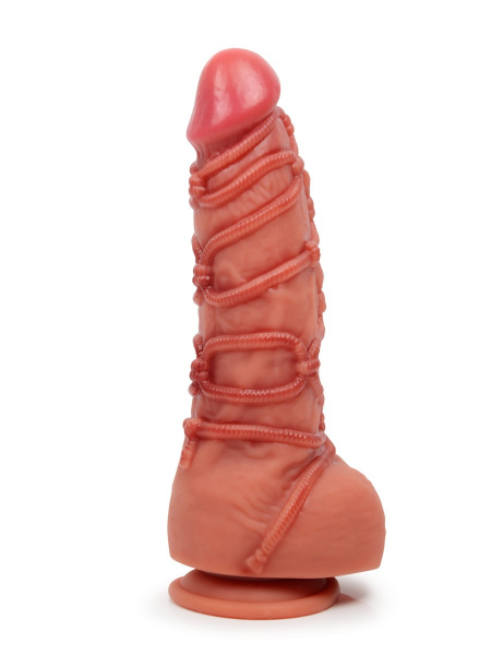 b8cec875_111b_11f0_8dde_00155d3d9c03_d1108c20_a81f_11f0_8de9_00155d3d9c00