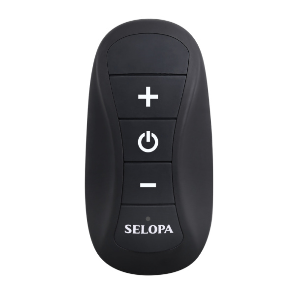 Анальная вибропробка с пультом ДУ Black Beauty_4