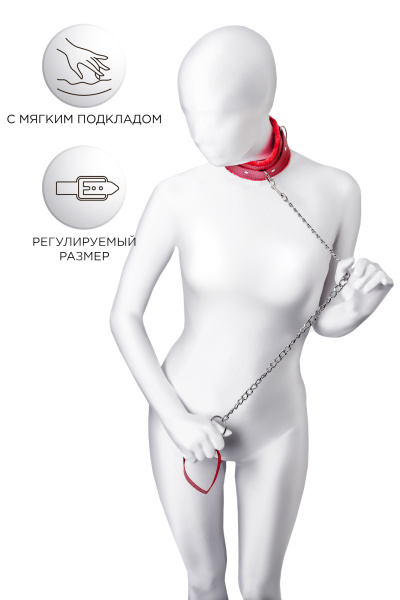 Ошейник Anonymo 