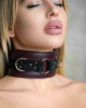 Ошейник Lady's Arsenal Бордо из Кожи и Замши_2