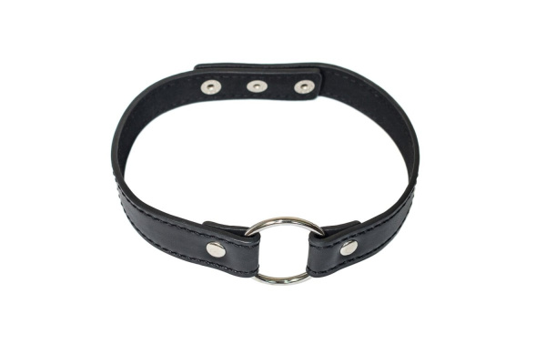 Ошейник Party Hard Intrigue_1