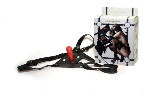 Трусики с плагом в коробке_1