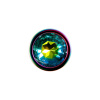 Evolved RAINBOW METAL PLUG MEDIUM Радужная анальная пробка средняя_3