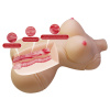 Мастурбатор Леди в корсете 5 кг Diana BM-009266N_8