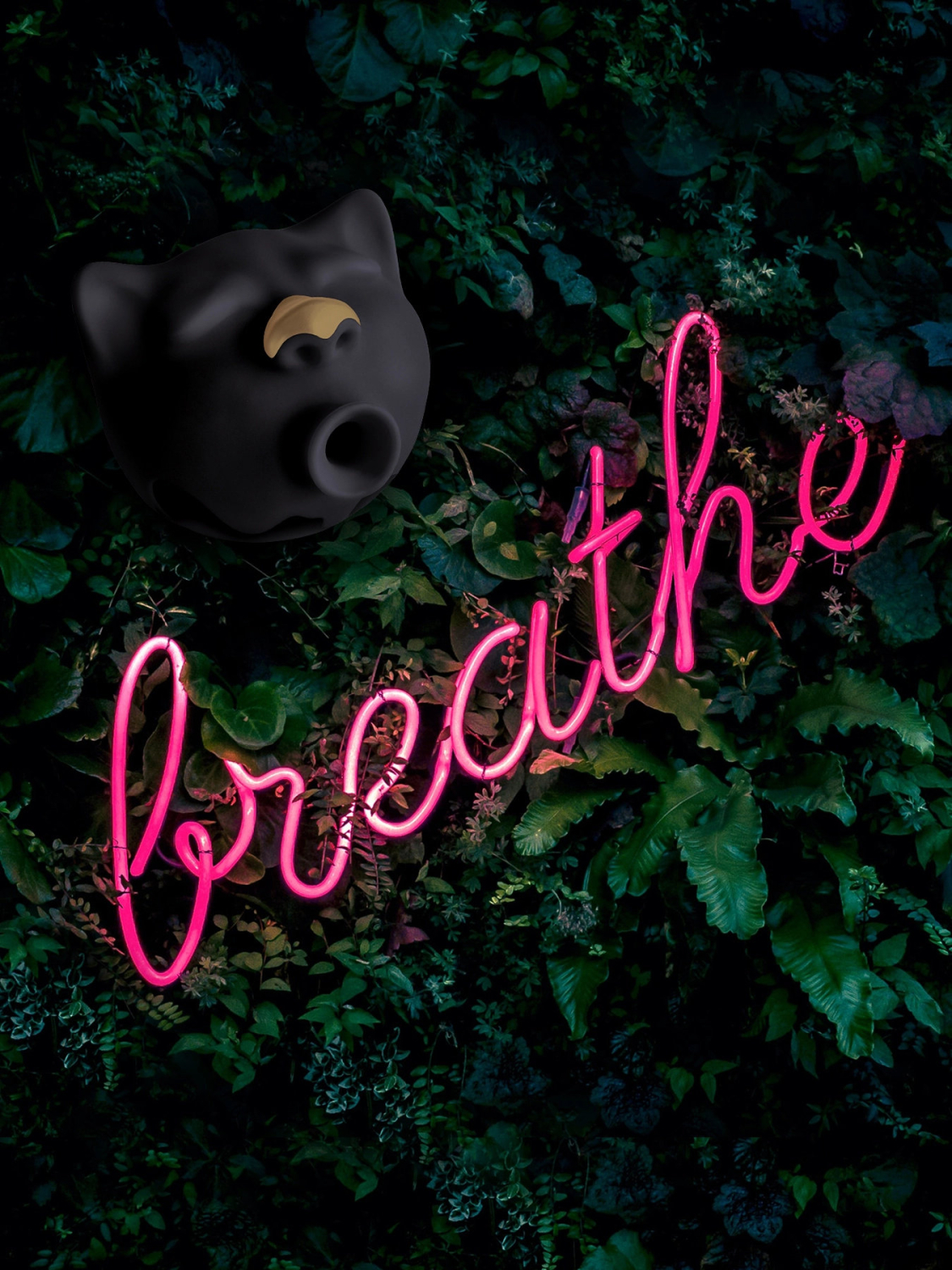 Gvibe_Gcat_1350x1800_05