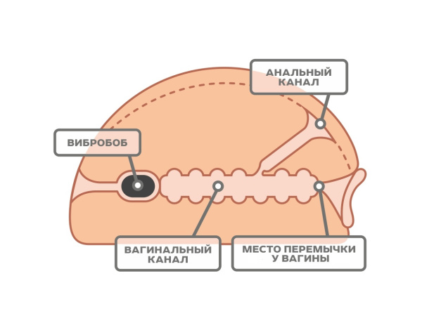 Мастурбатор для мужчин - вагина биоклон с пальцами с вибратором 270x200 мм, арт.669621_5