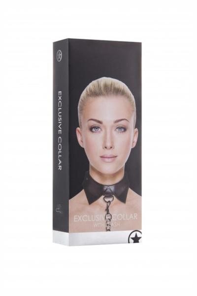 Эксклюзивный ошейник с поводком Exclusive Collar & Leash_1