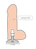 Фаллоимитатор с поясом harness ( strap-on ), l 170 мм d 52 мм арт. 285503_9
