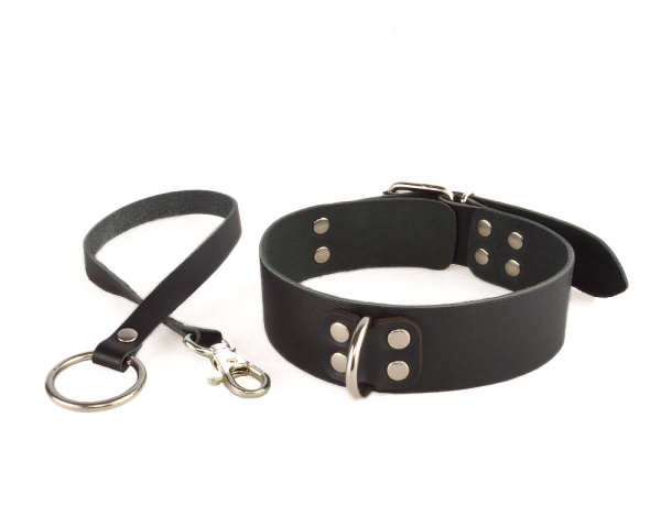 Ошейник Новичок_2